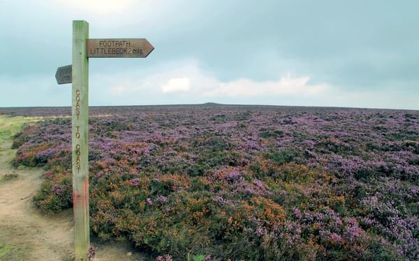 Heather moorlands. Taken from Terry's guidebook to the Coast to Coast