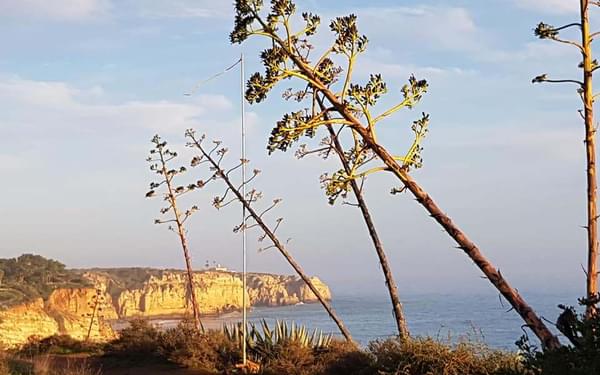 Alison Glennon  The Algarve book was updated just before our visit at Xmas 19. Brilliant coastal walking plus some hills﻿