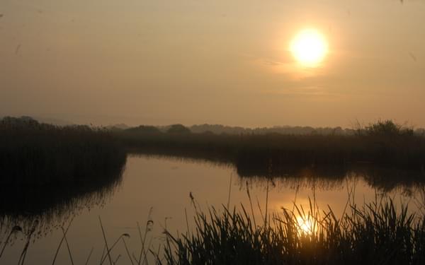 Peat fen at Westhay, Somerset Levels