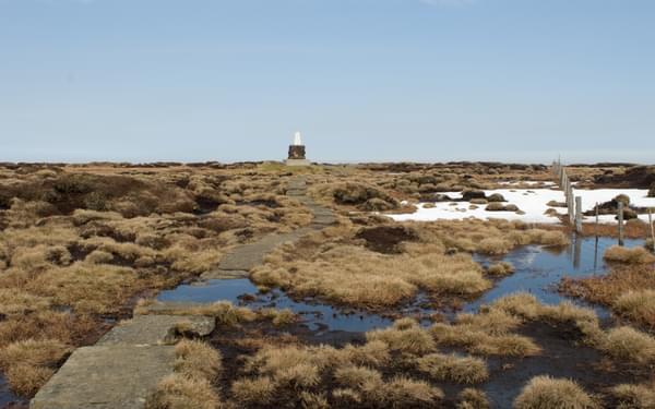 Summit bog on the Cheviot