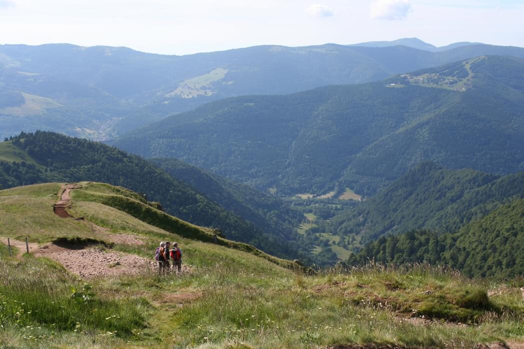 Descent From Le Hohneck Vosges Gr5