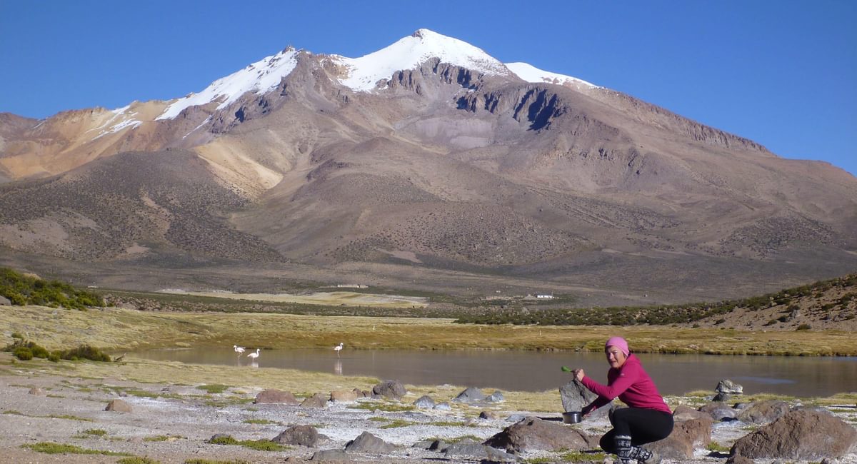 Incredibly Happy Breakfast Watching Flamingoes In  Chile