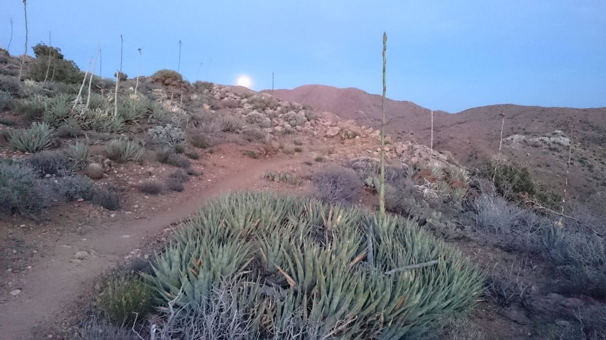Anza Borrego Desert At Dusk Pct