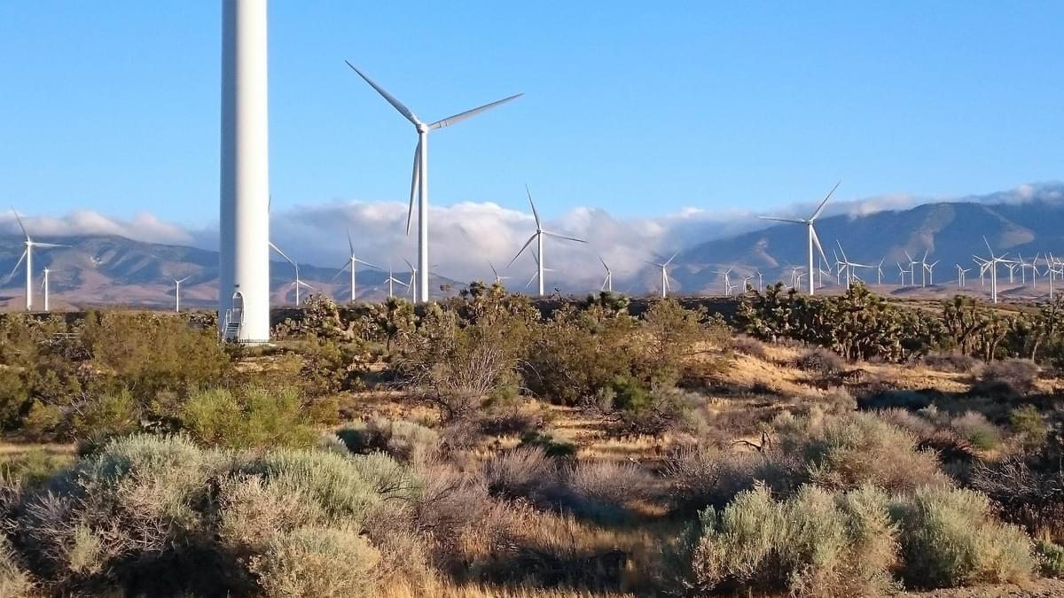 Wind Farming In The  Mojave