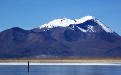 Flamingoes In Chile Salar De Surire