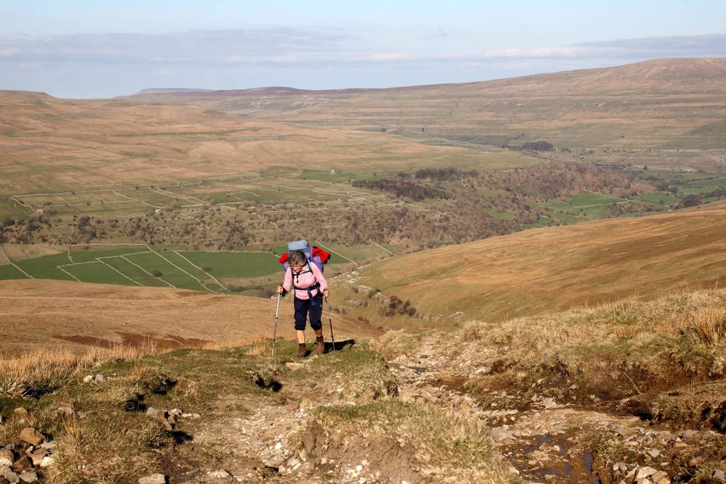 Climbing Up  Birks  Fell In The  Yorkshire  Dales