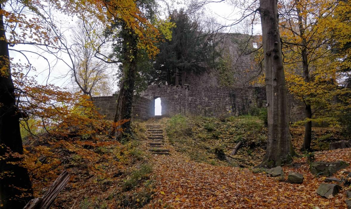 Ruin Of A Castle On  Germanys  Westweg