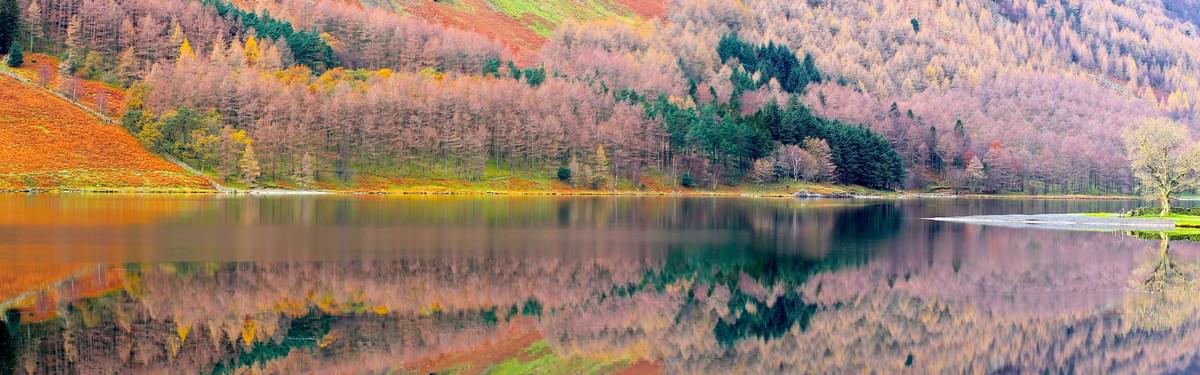 Autumn lakeshore In The Lake District