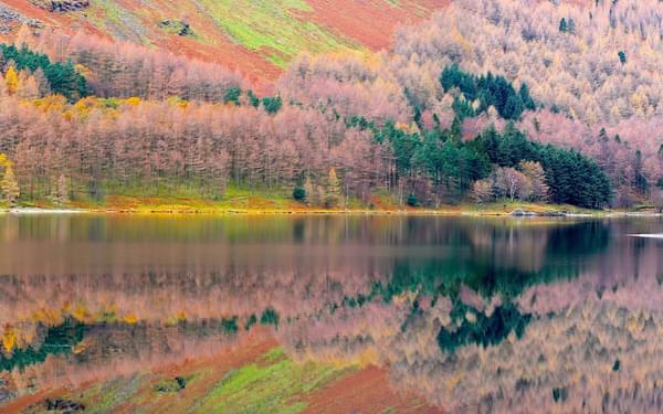 Autumn lakeshore In The Lake District