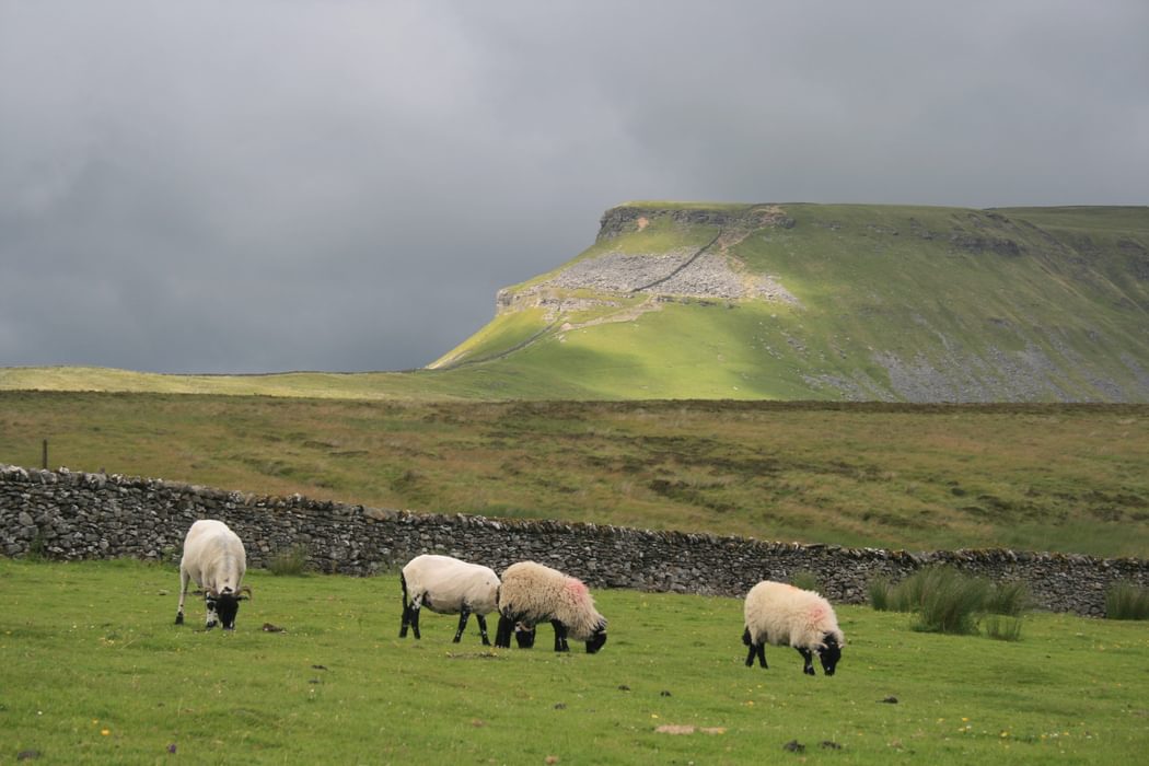 Pen Y Ghent