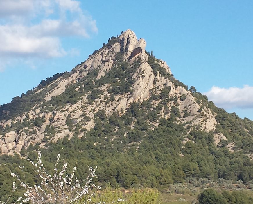 Horta De San Joan1