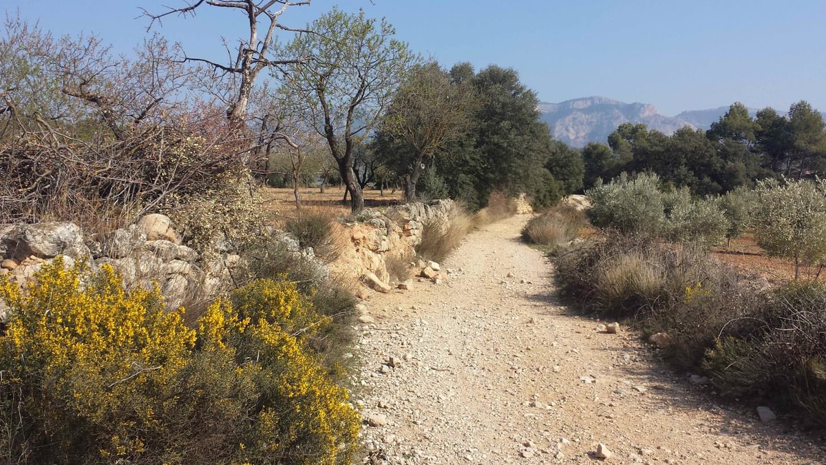 Terra Alta Walk