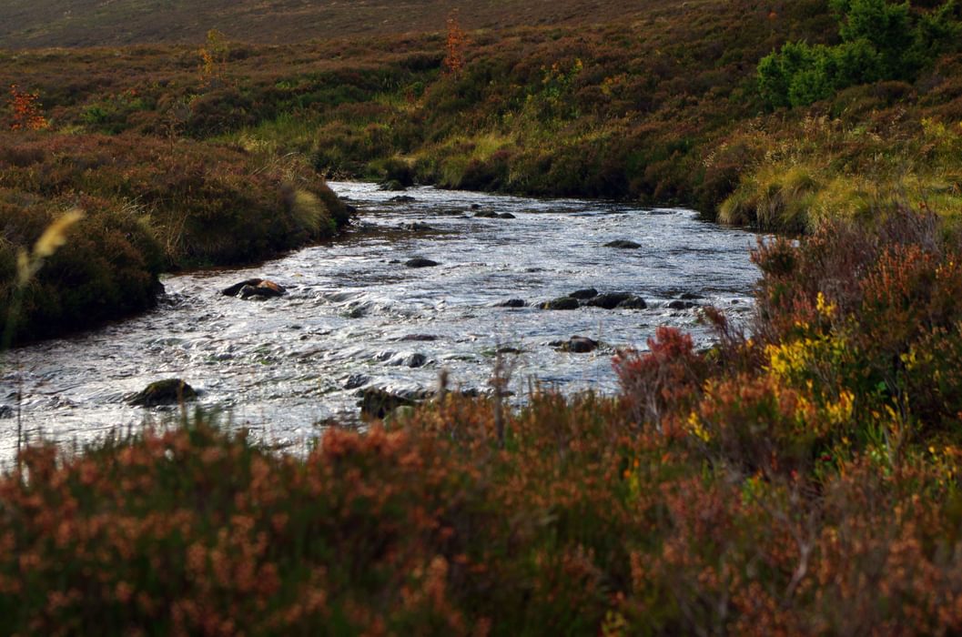 River  Nethy  Cairngorms