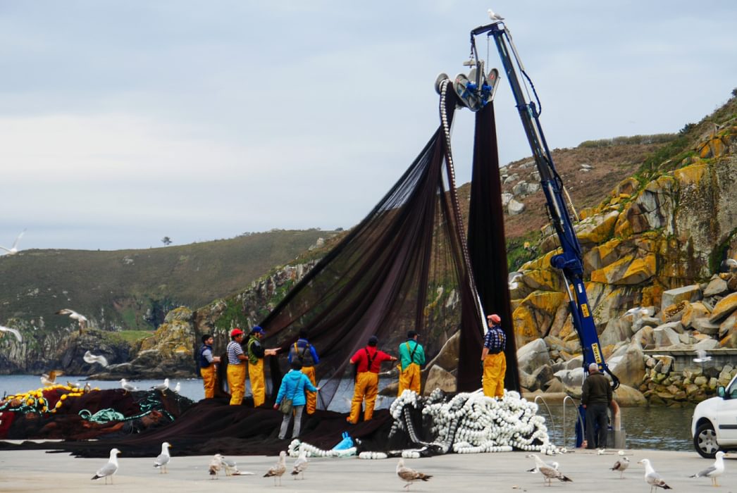 Fishermen at Malpica