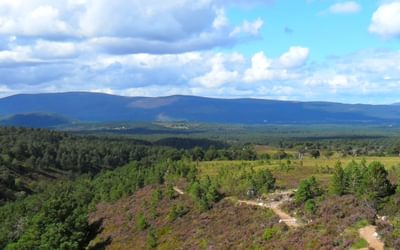 East Highland Trail