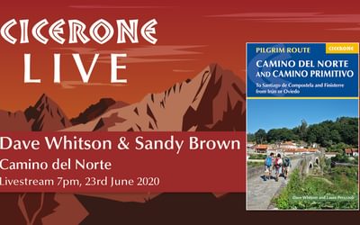 Dave Whitson Camino del Norte live