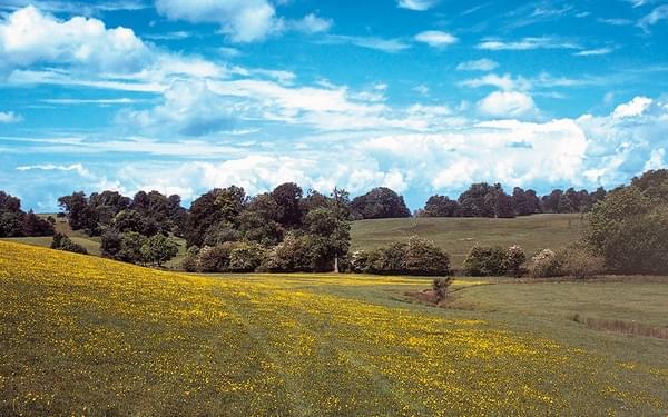 The Cotswold Way is a wonderful walking route for quintessentially English scenery like at Dodington Park