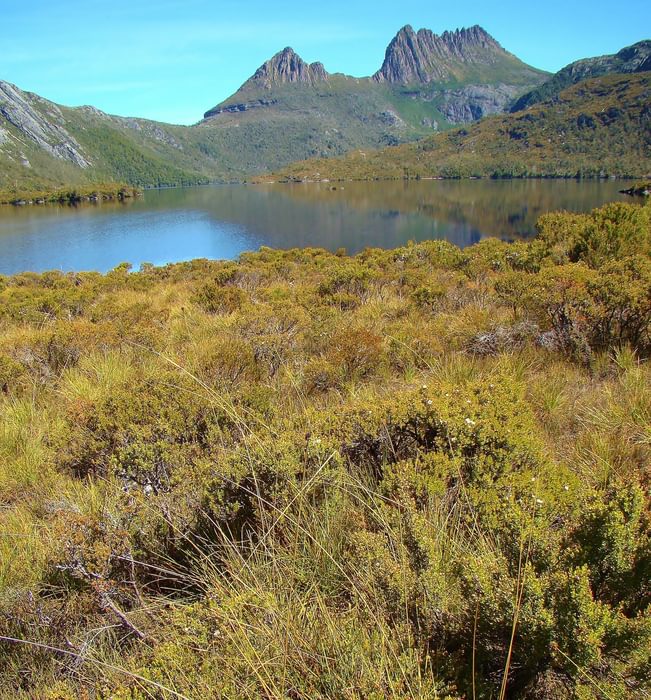 Stage 1 alternative start The distinctive profile of Cradle Mountain with Dove Lake in the foreground