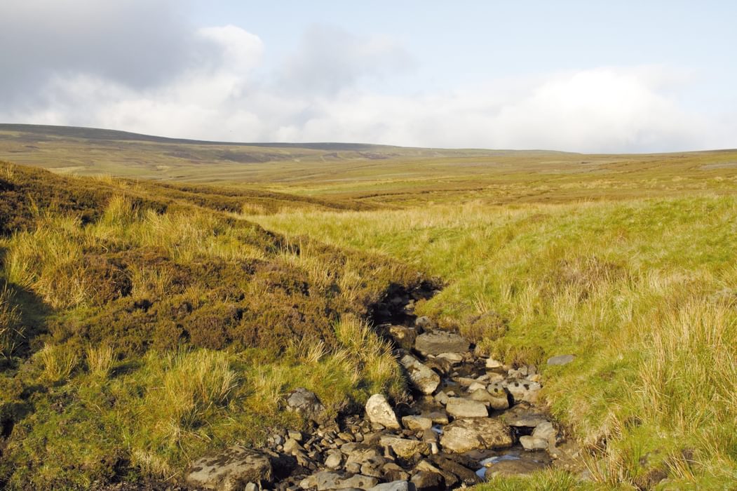 Dry Beck, near Green Trod