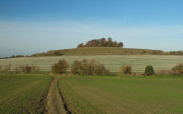 Looking towards the earthworks on Castle Hill from near Brightwell Barrow