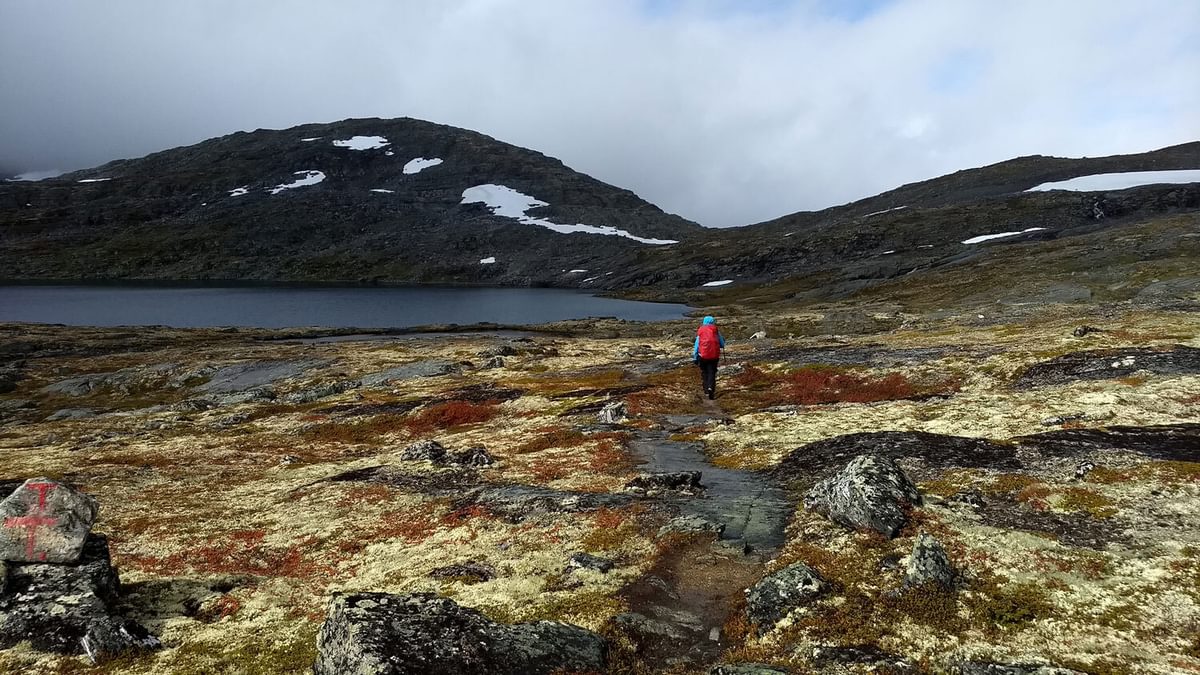 Dovrefjell