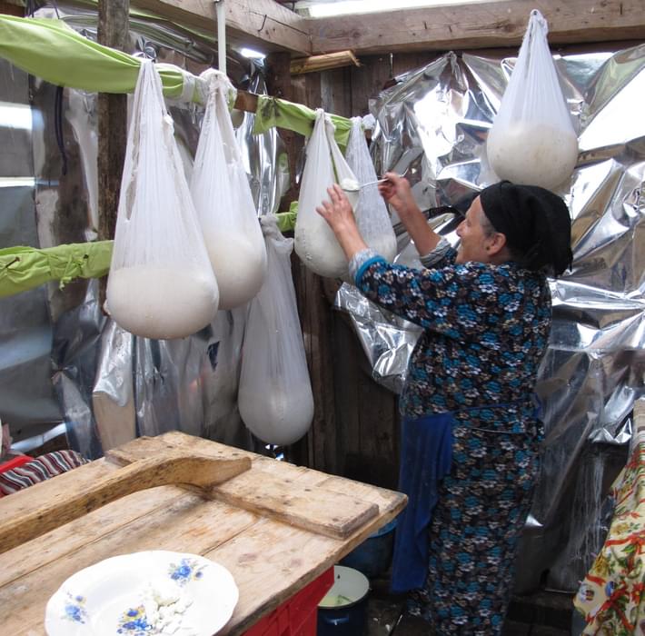 Traditional cheese making: curds draining in muslin bags