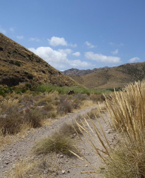 Track leading towards the Cerro de las Hortichuelas