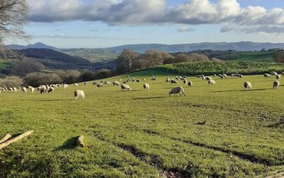 Meifod and Welshpool
