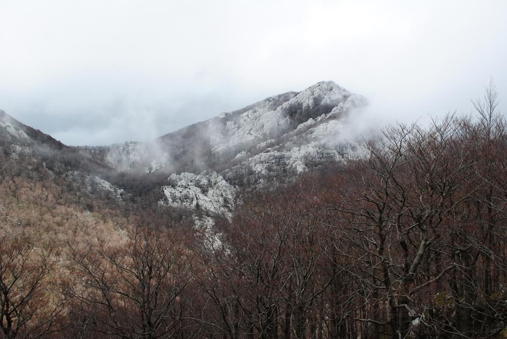 A Misty Day Three In Middle Velebit