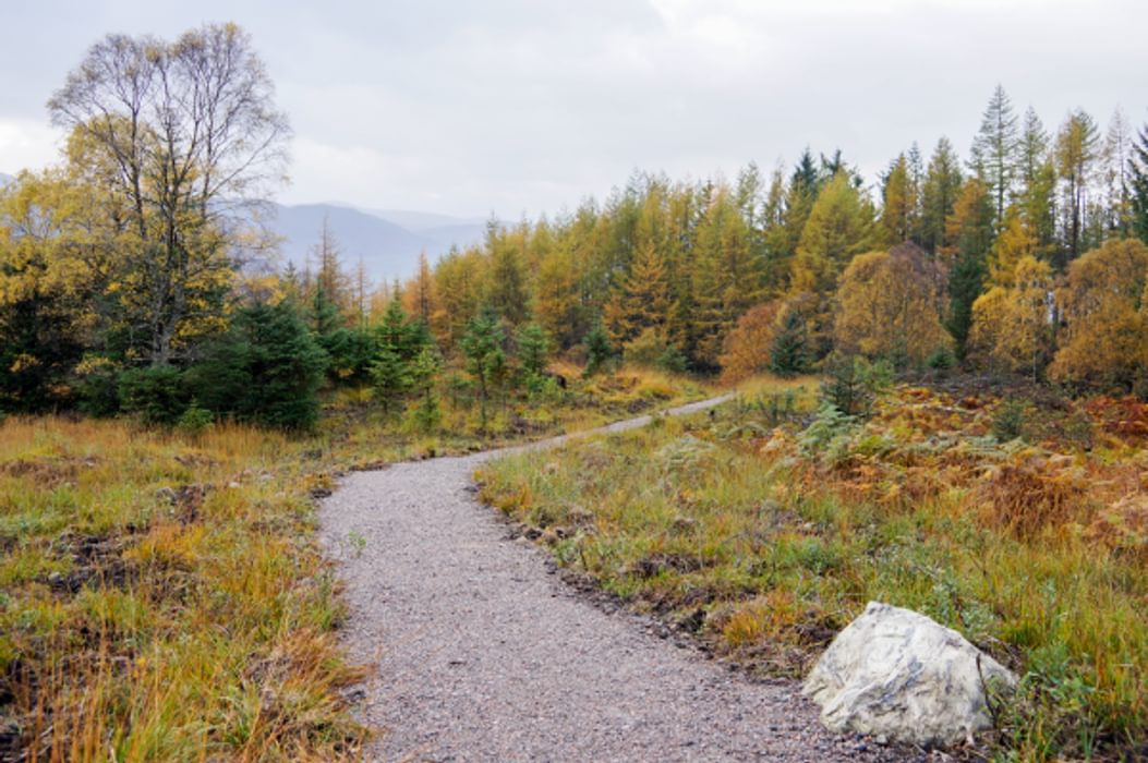 The Great Glen Way Can Be Walked In All Seasons