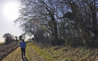 Discover the Peddars Way and Norfolk Coast Path