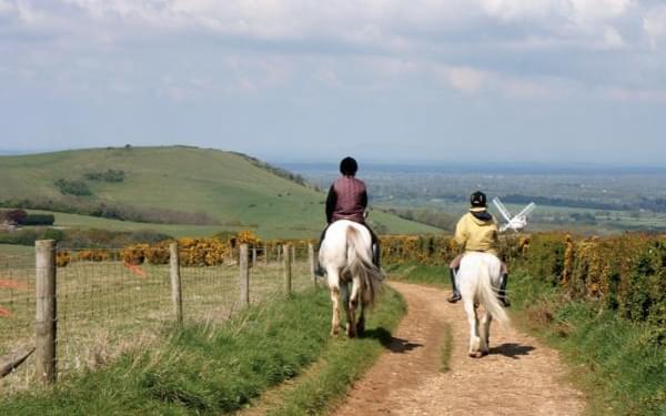 Horse Riding In The South Downs National Park