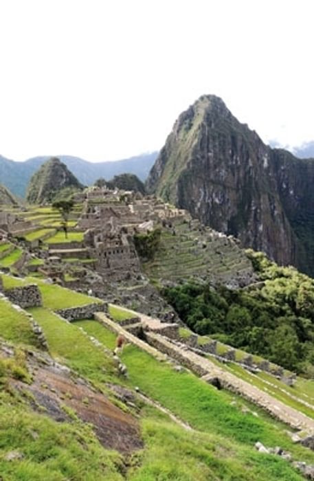 Machu Picchu