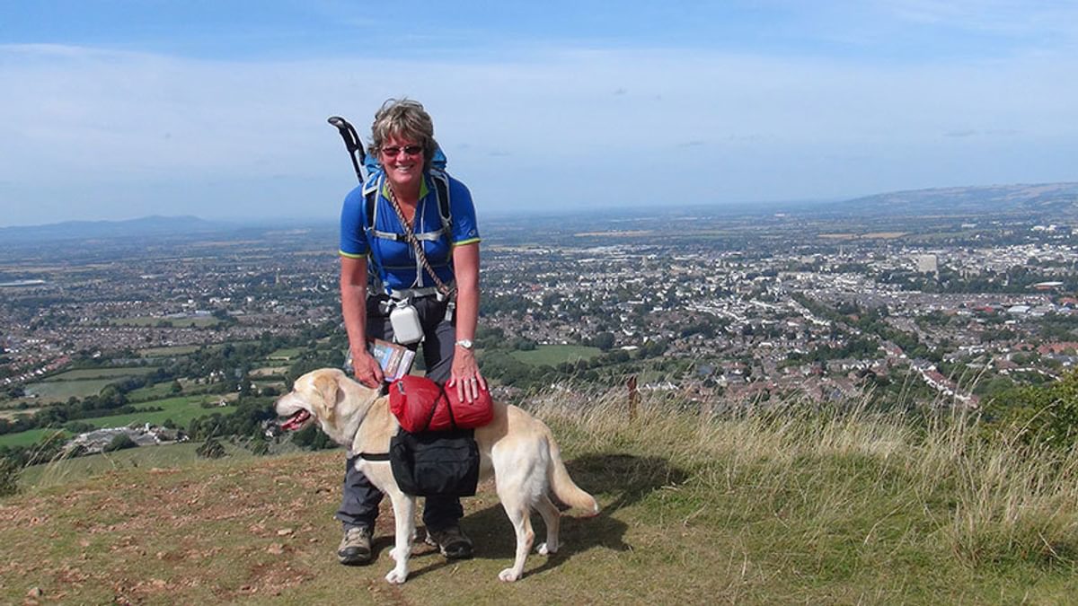 Cassie Admires The View From High Above Cheltenham