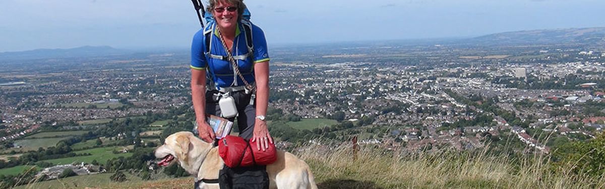 Walking with your dog on the Cotswold Way