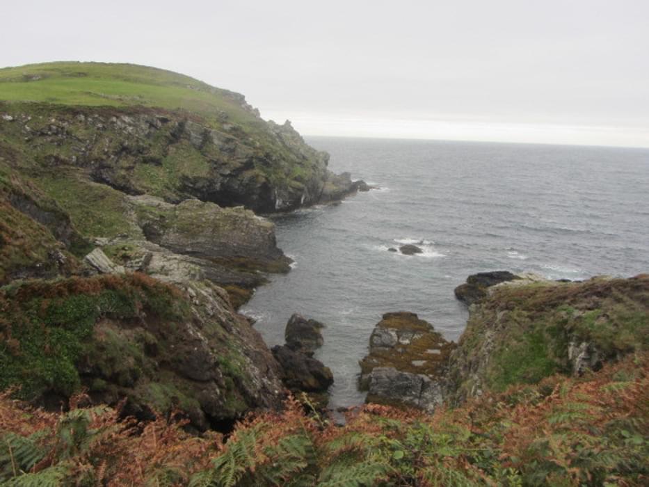 Sea Cliffs Near The Sound: Walk 1