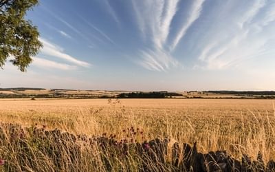 10 things you didn't know about the Cotswolds