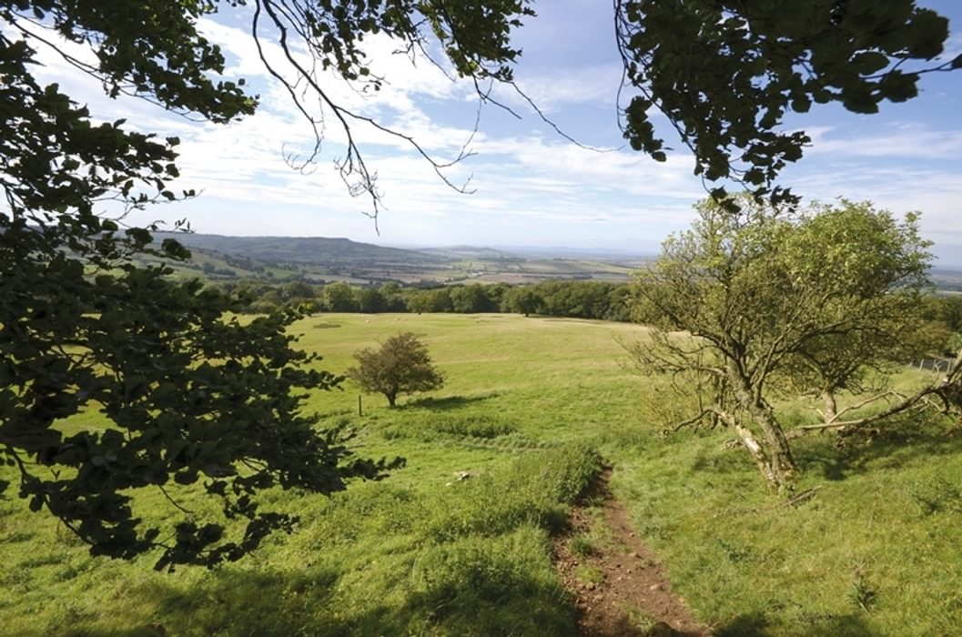Fancy a walk in the Cotswolds?