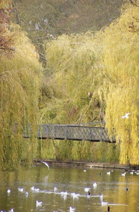 Wardown Park bridge near Luton