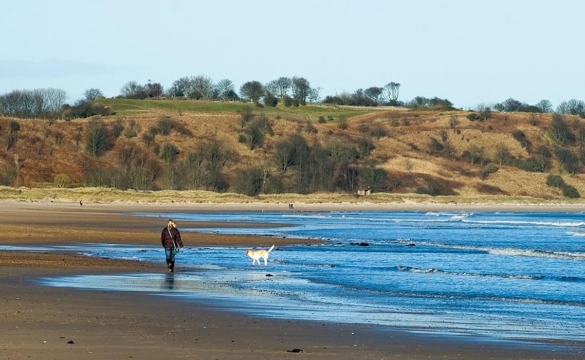 The beach near Alnmouth