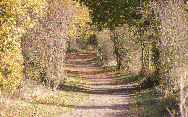Lea Valley, Top 10 Easy First Treks