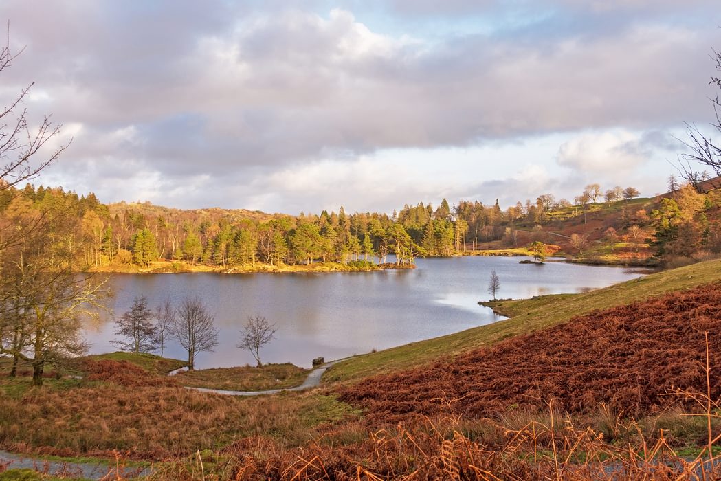 Tarn hows