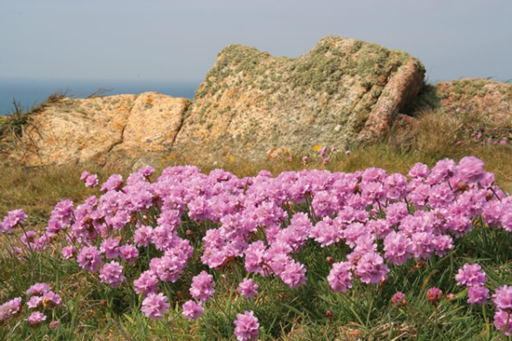 Walking On Jersey with a Cicerone Guide 