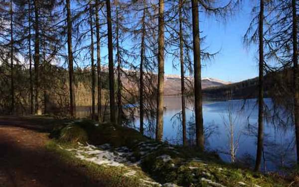 A day walking in the Trossachs