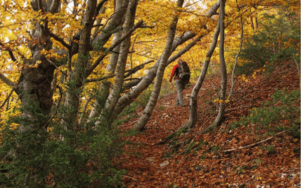 The pleasures of autumn walking in Provence