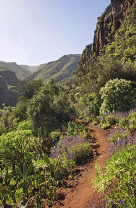 Flowery Traverse Walking In Gran Canaria