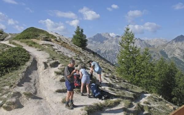 Alpine Trek