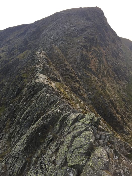 On Sharp Edge