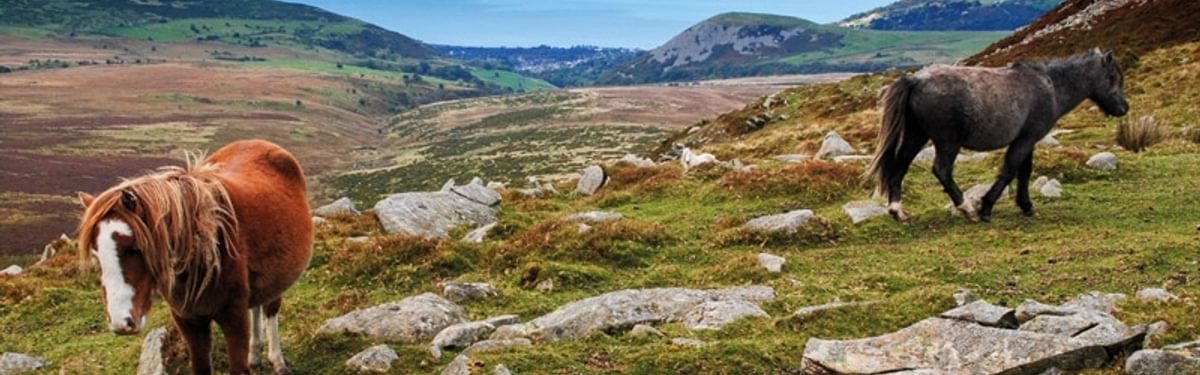 An intro to... The Snowdonia Way: a new route through Wales