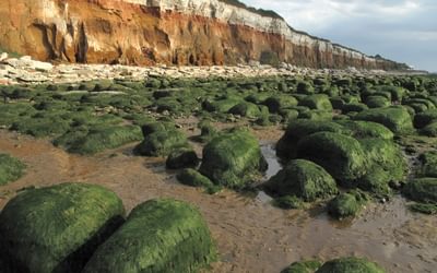 Try a sample route from our Walking in Norfolk guidebook